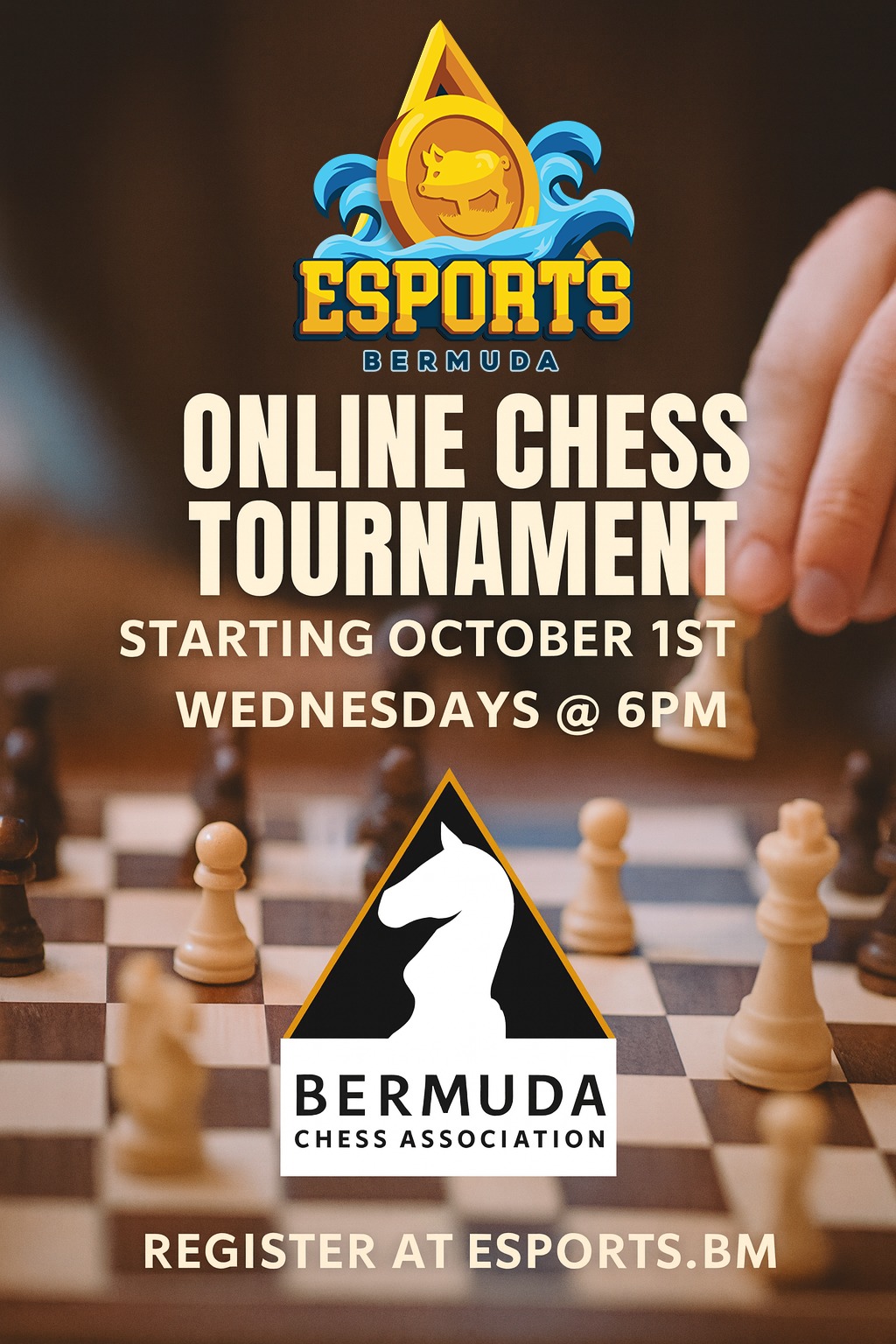 Online Chess Tournament
